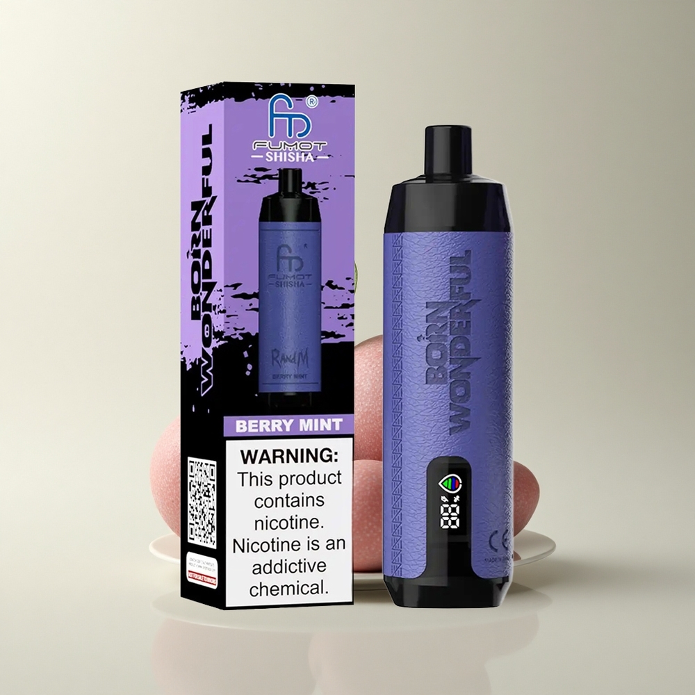 RandM Fumot Shisha 10000 Puffs Beerenminze LED Typ-C 18ml