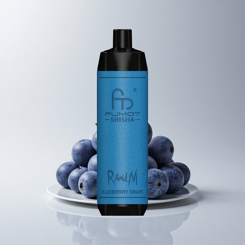 RandM Fumot Shisha 10000 Puffs Blaubeer-Traube LED Typ-C 06ohm