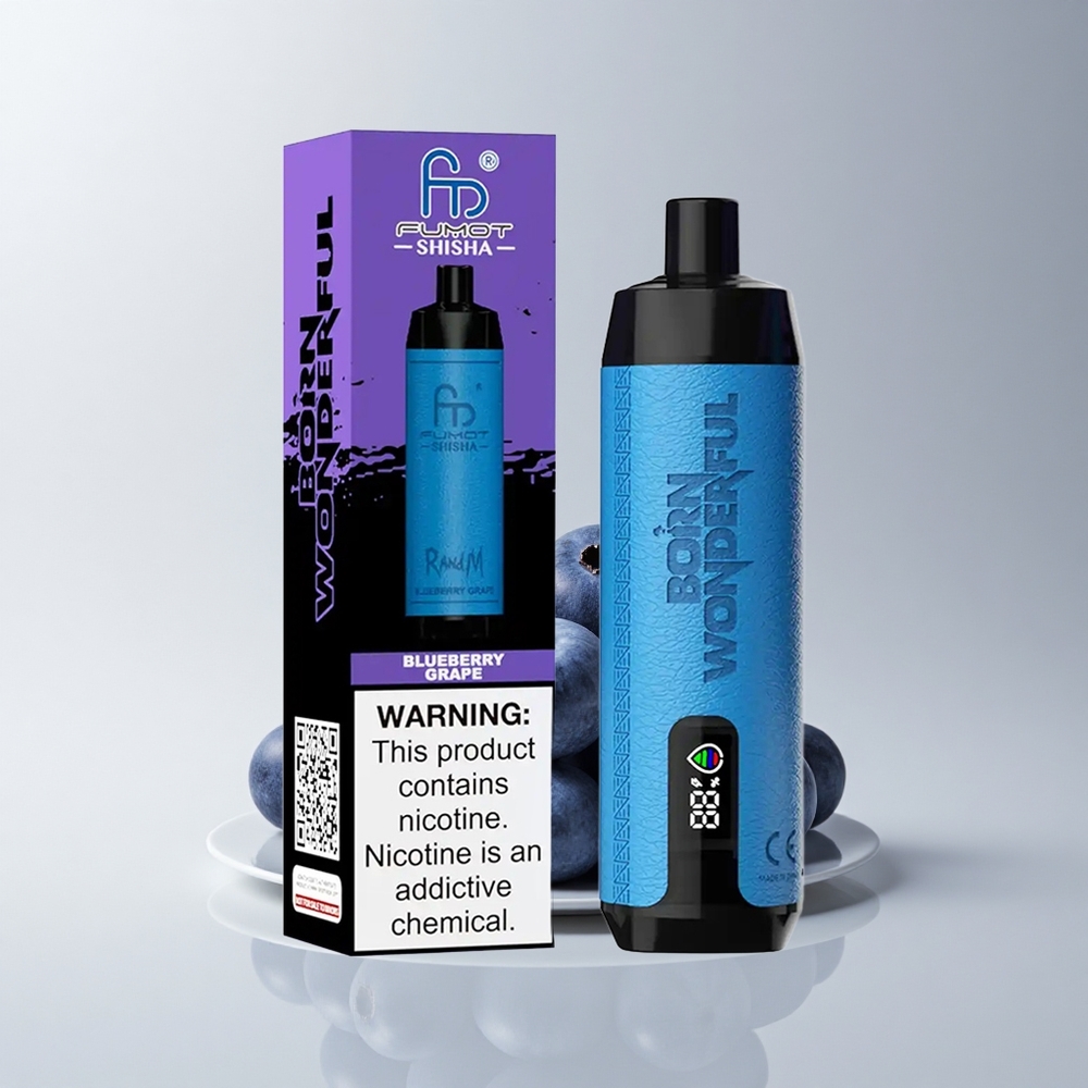 RandM Fumot Shisha 10000 Puffs Blaubeer-Traube LED Typ-C 06ohm