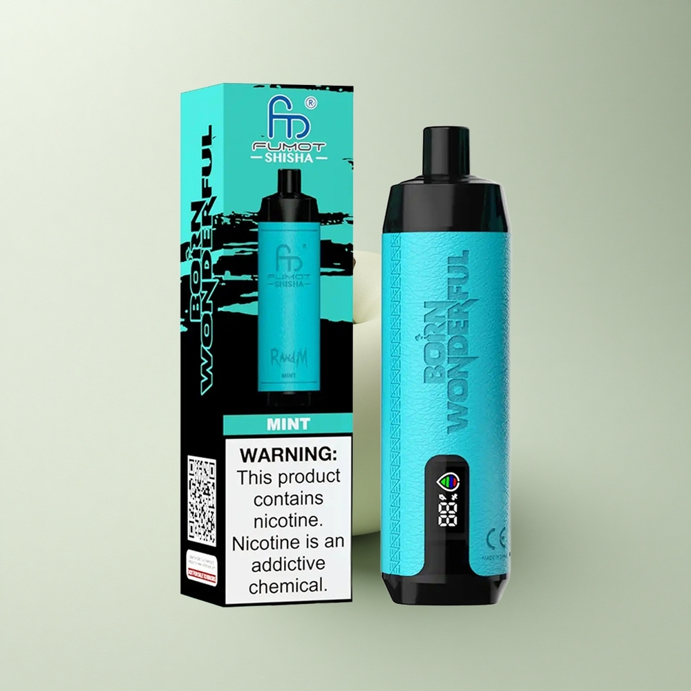 RandM Fumot Shisha 10000 Puffs Minze LED 18ml Typ-C