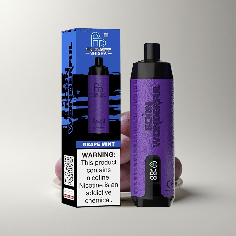 RandM Fumot Shisha 10000 Puffs Traubenminze LED Typ-C 18ml