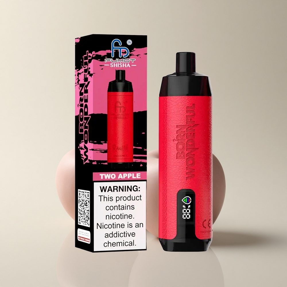 RandM Fumot Shisha 10000 Puffs Zwei Apfel 10000 Züge 18ml Typ-C