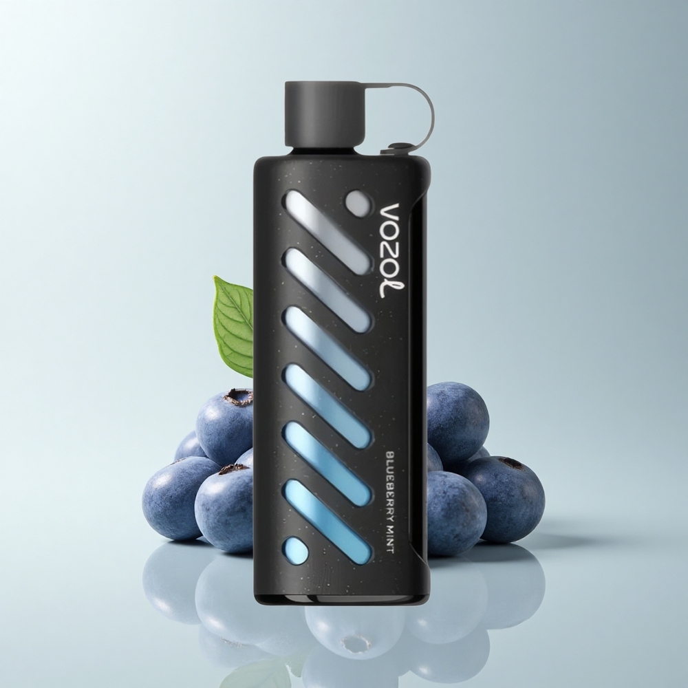VOZOL Gear Shisha 25000 Puffs Blaubeer-Minze mit Dual-Mesh und 5mg/ml