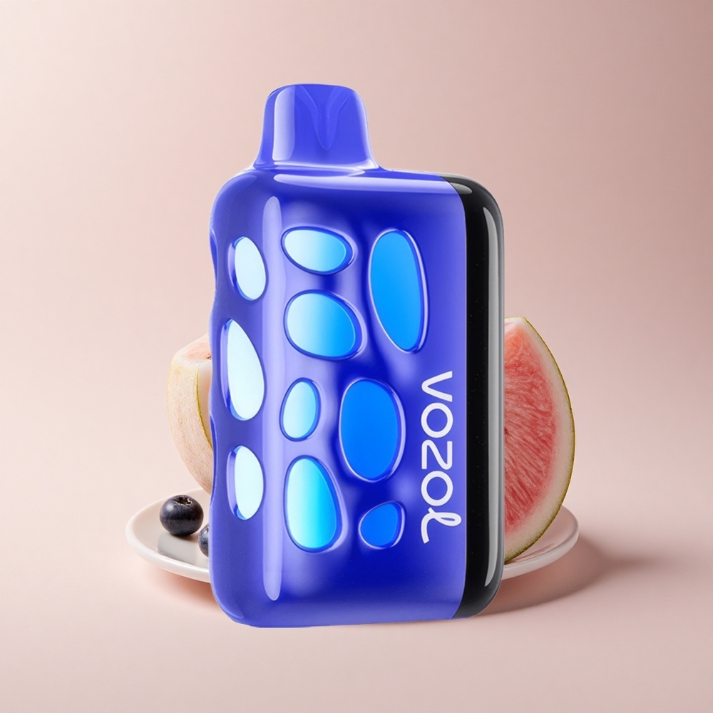 VOZOL RAVE 40000 Puffs Blaubeer-Wassermelone Leuchtendes Partymodus-Ladeblitz