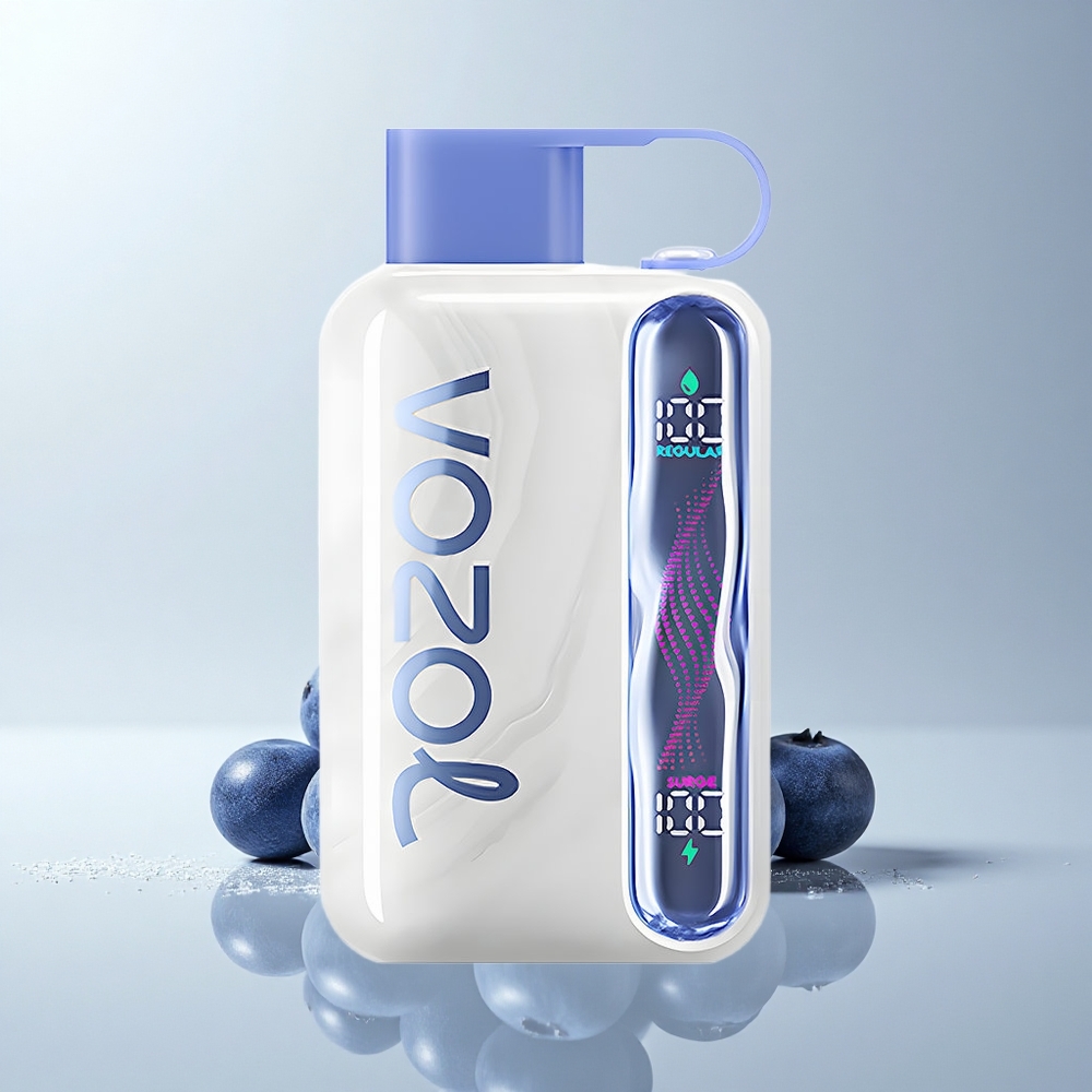 VOZOL STAR 40000 Puffs Blaubeer-Eis 1000mAh Typ-C 20/50mg