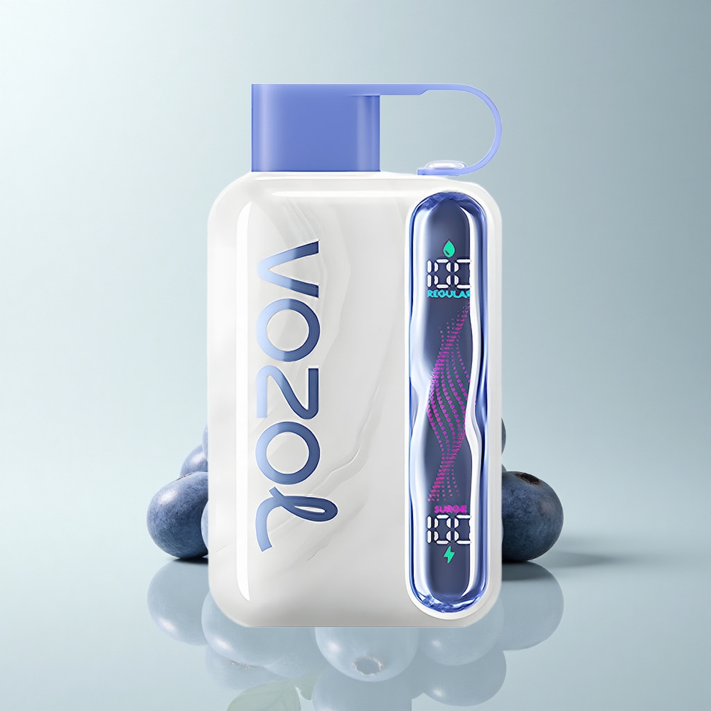VOZOL STAR 40000 Puffs Blaubeer-Minze 1000mAh Typ-C