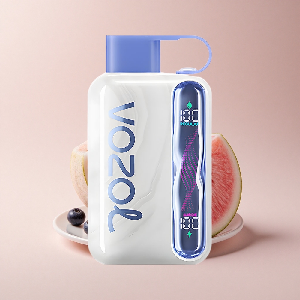 VOZOL STAR 40000 Puffs Blaubeer-Wassermelone 1000mAh Type-C 20/50mg/ml