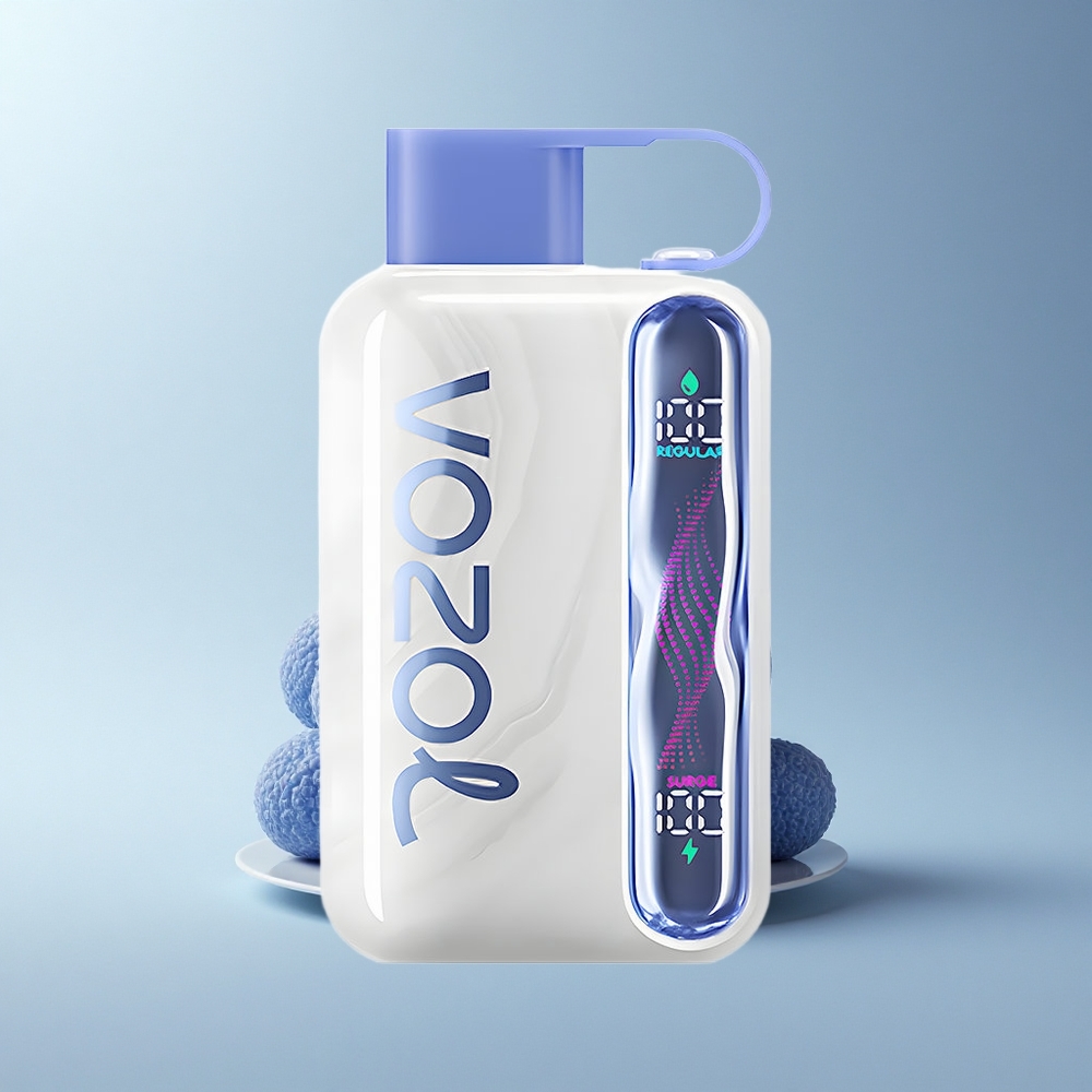 VOZOL STAR 40000 Puffs Blauer Himbeer-Eis Typ-C 1000mAh 20/50mg