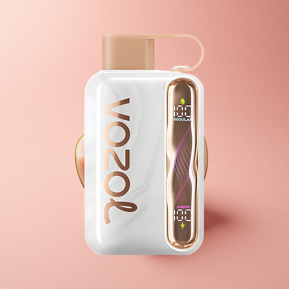 VOZOL STAR 40000 Puffs Erdbeer-Wassermelone 1000mAh Type-C 20/50mg