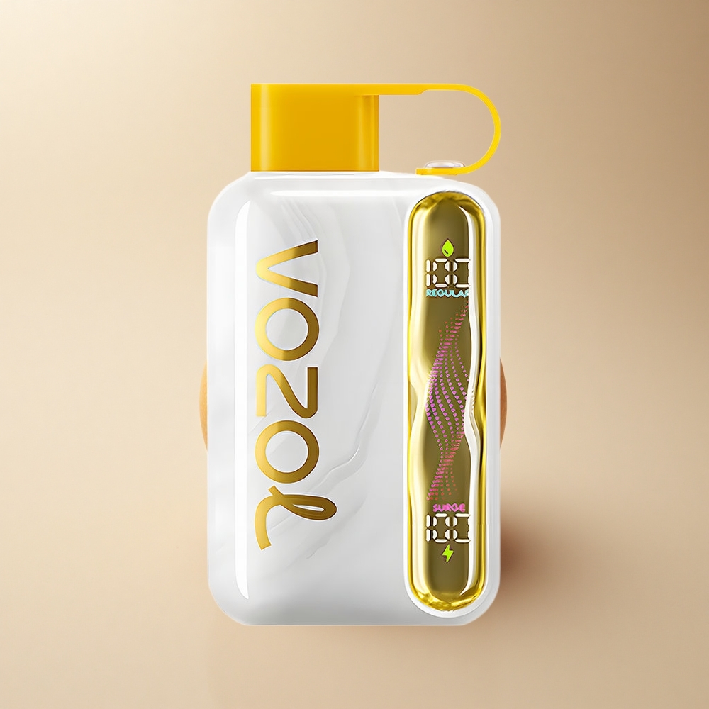 VOZOL STAR 40000 Puffs Mango Eis 1000mAh Type-C 20mg
