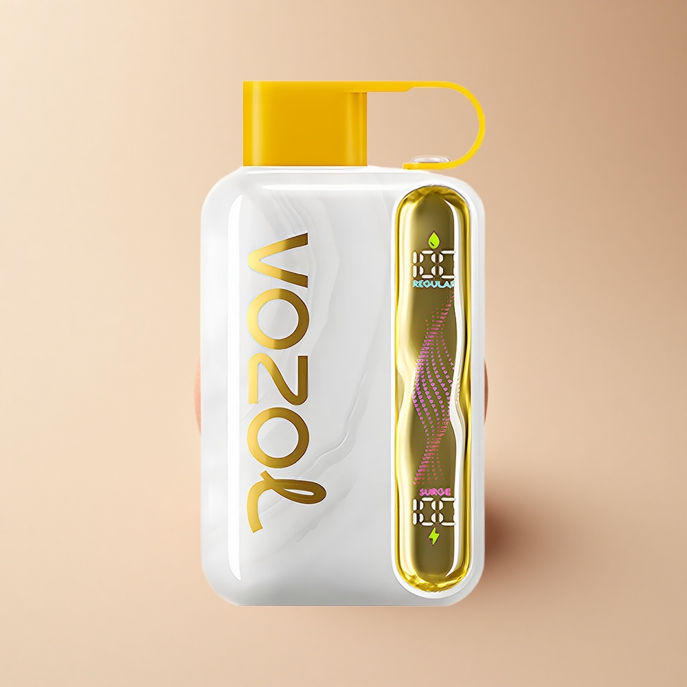 VOZOL STAR 40000 Puffs Mango Pfirsich 1000mAh Typ-C 20mg
