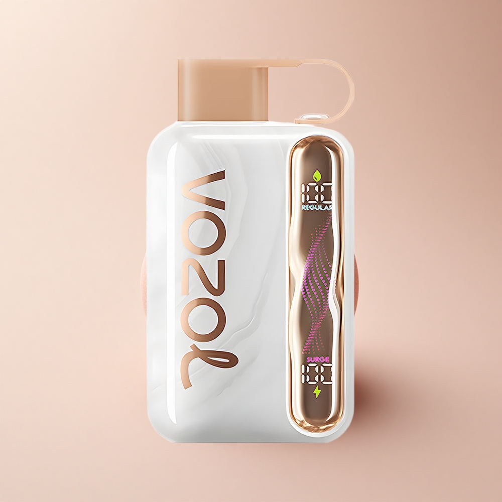 VOZOL STAR 40000 Puffs Pfirsich Eis 1000mAh Type-C 20mg