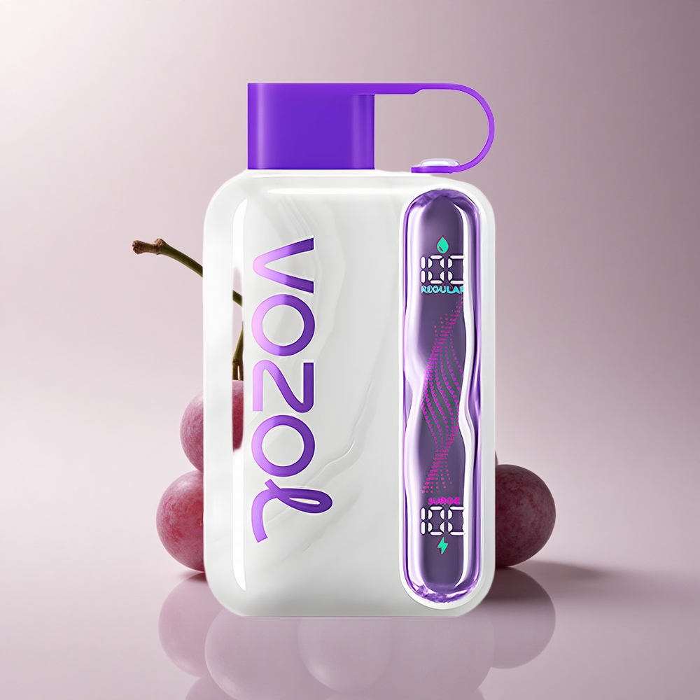 VOZOL STAR 40000 Puffs Trauben-Eis 1000mAh Type-C