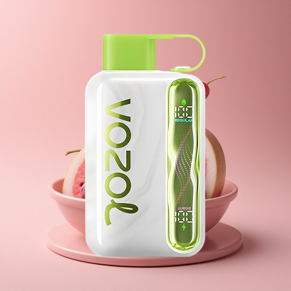 VOZOL STAR 40000 Puffs Wassermelone Traube Boysenbeere 1000mAh Typ-C 20mg/ml