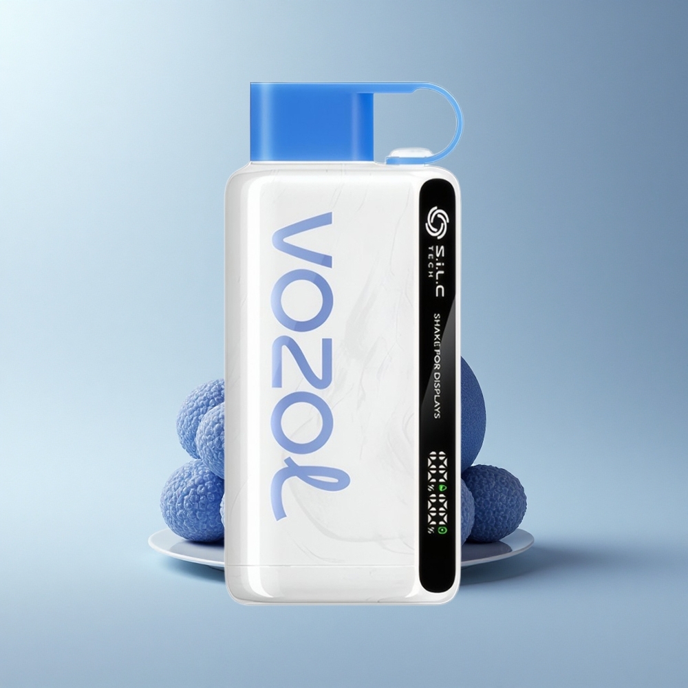 VOZOL STAR 9000/12000 Puffs Blauer Himbeer-Eis mit Schnellladung und Mundstückschutz