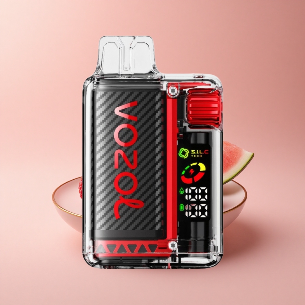 VOZOL Vista 20000 Puffs Himbeer-Wassermelone Dual-Mesh OLED