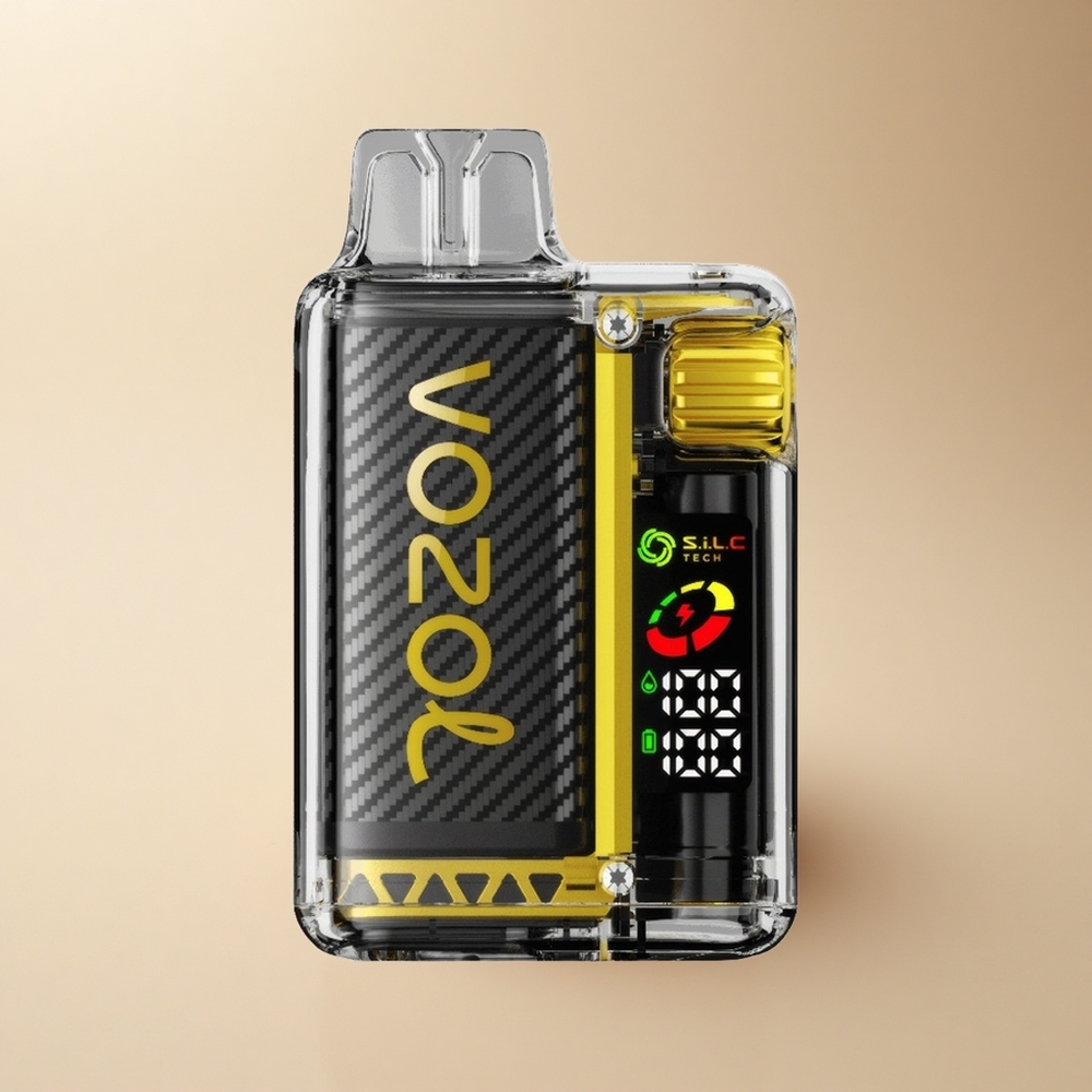 VOZOL Vista 20000 Puffs Mango Eis 650mAh Dual Mesh Coil OLED
