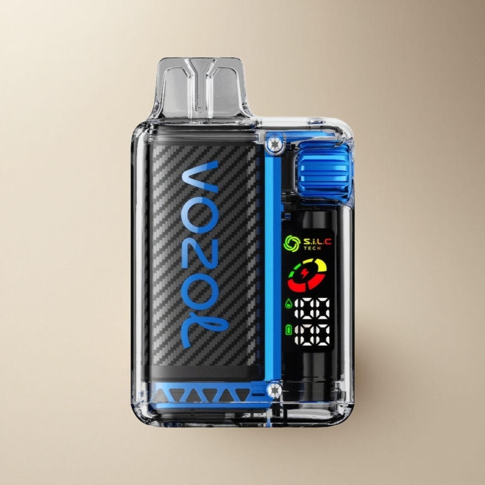 VOZOL Vista 20000 Puffs SiLC Tech Dual Mesh Coil 650mAh OLED MCU TPD Konform MTL Wiederaufladbar