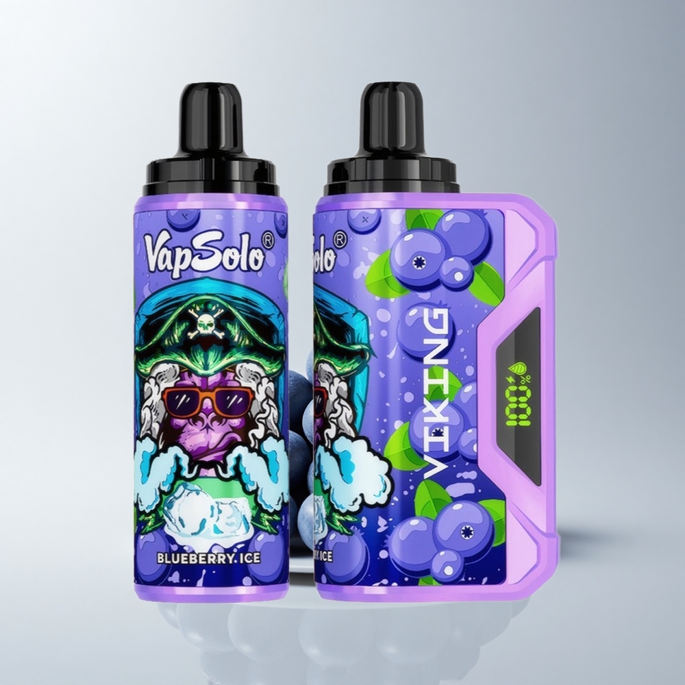 VapSolo VIKING 12000 Puffs Blaubeere Typ-C 22ml LED