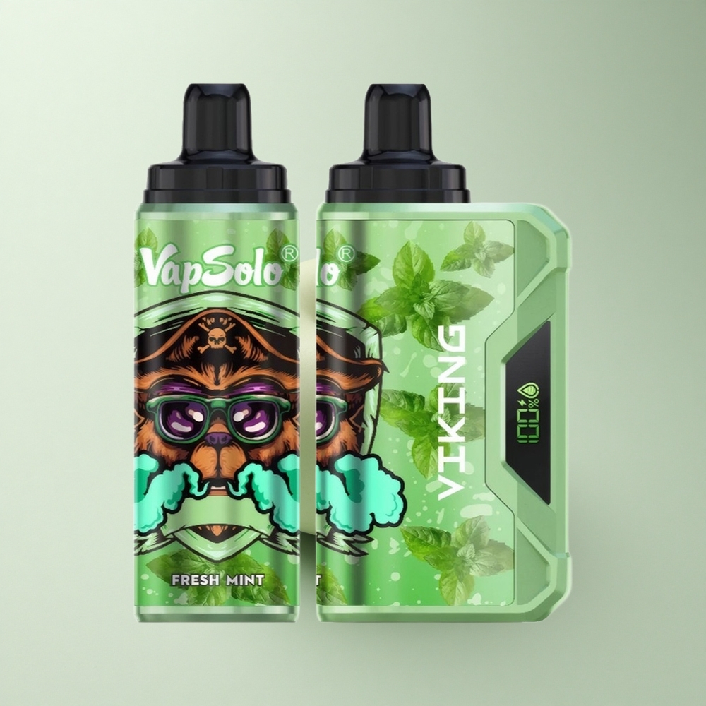 VapSolo VIKING 12000 Puffs Frische Minze Typ-C 22ml