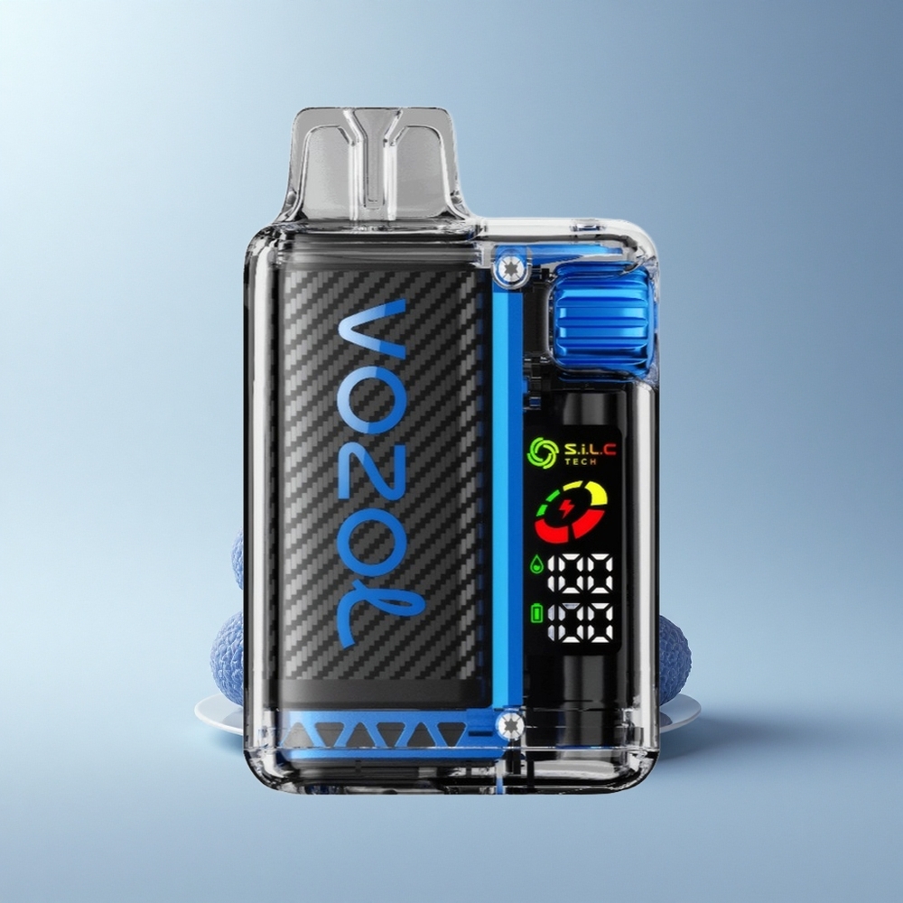VOZOL Vista 20000 Puffs Blaue Himbeere Eis mit OLED Bildschirm und Dual Mesh Coil